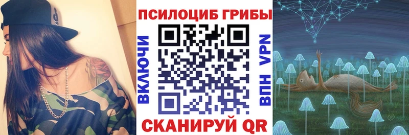 цены   Ржев  Галлюциногенные грибы Psilocybe 