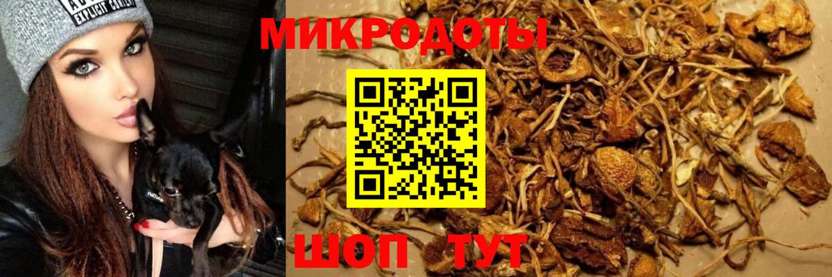 Ржев  Псилоцибиновые грибы GOLDEN TEACHER  наркотики  Вход с VPN 