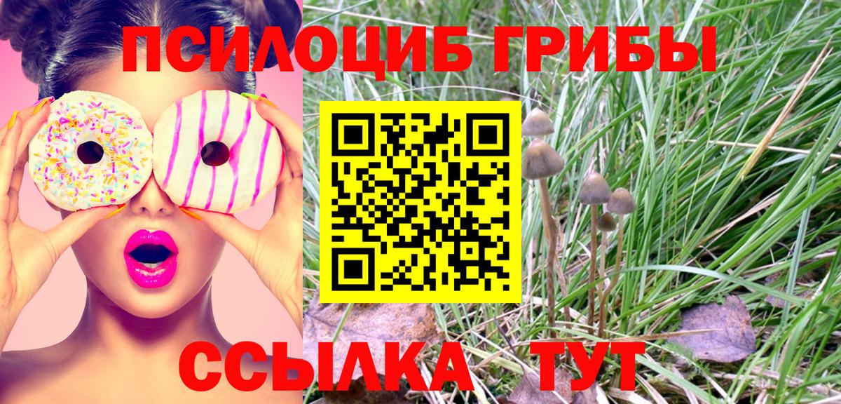 Псилоцибиновые грибы прущие грибы Ржев